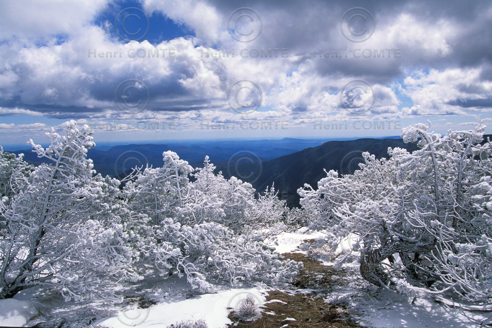 Mont Aigoual