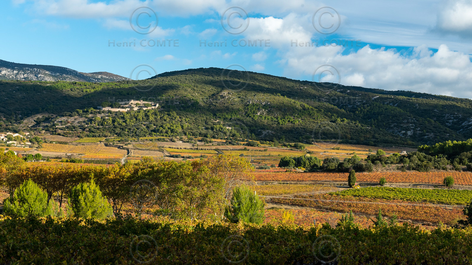 Montpeyroux