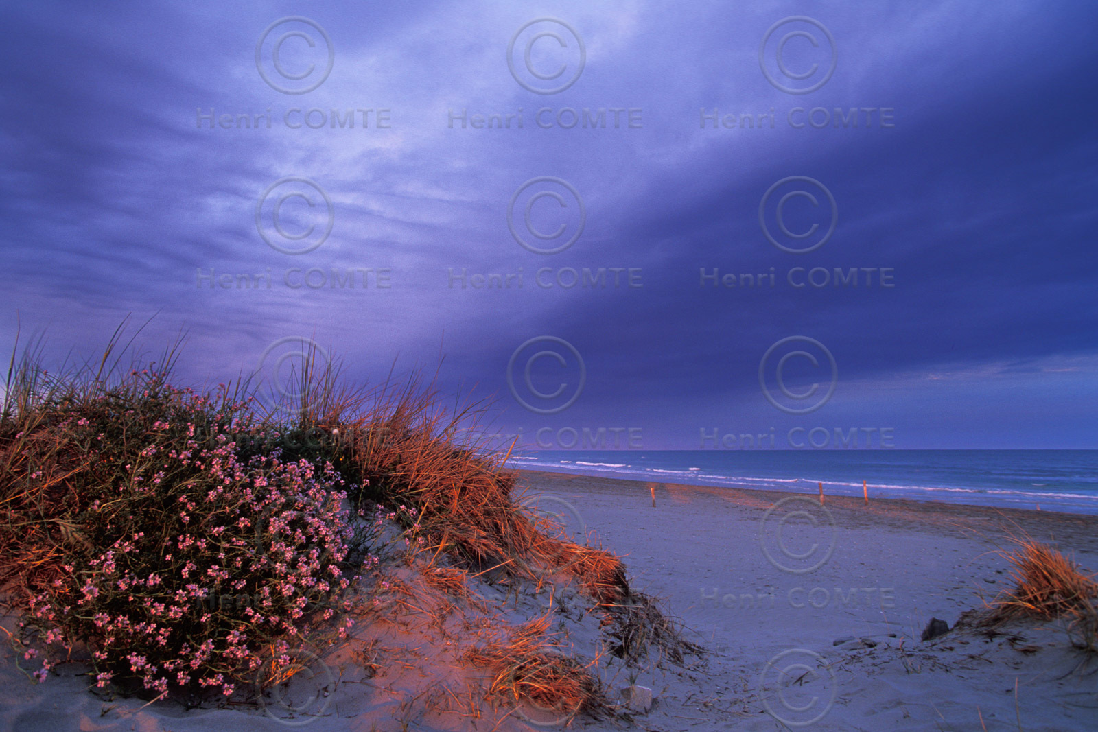 Plage en camargue
