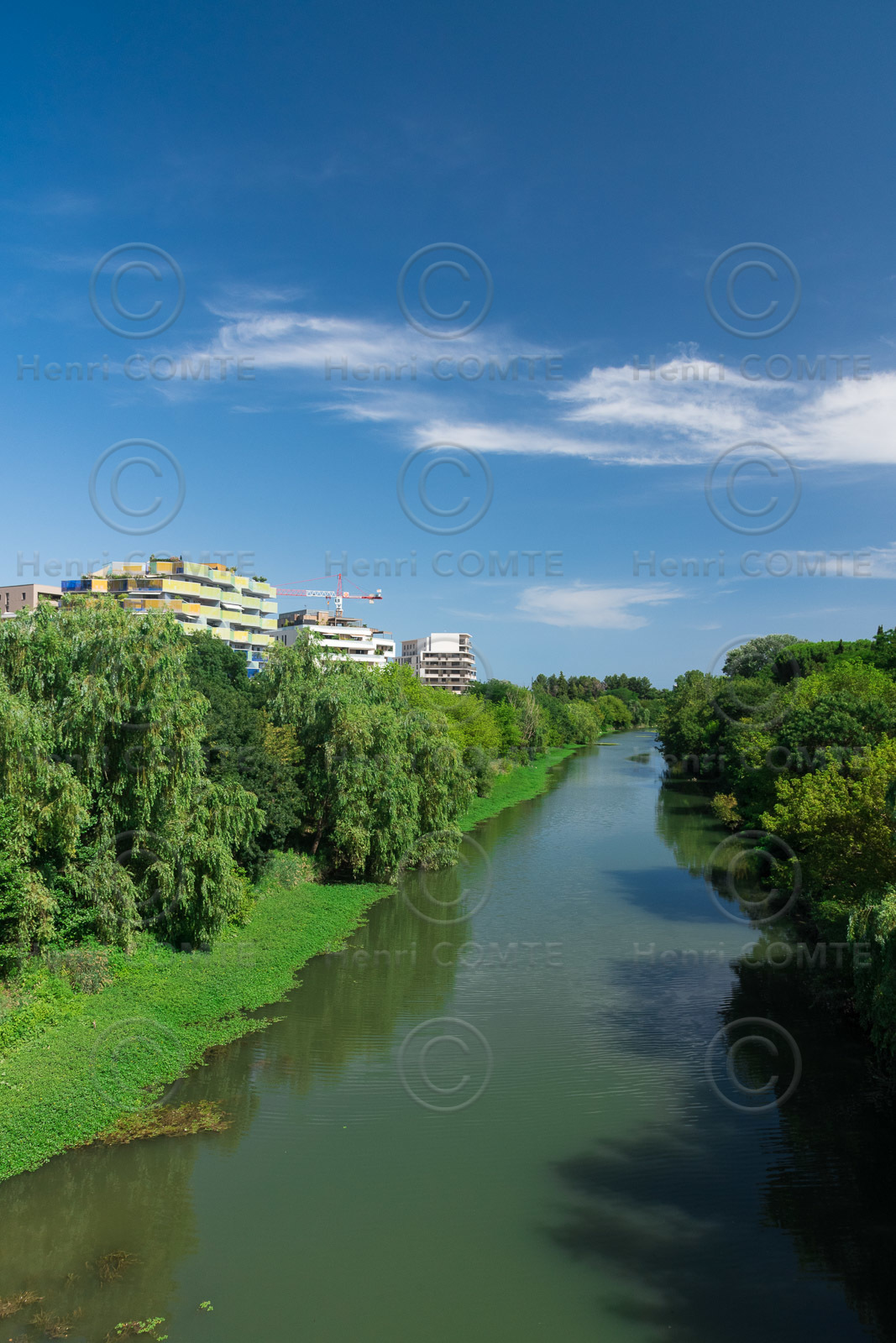 Montpellier