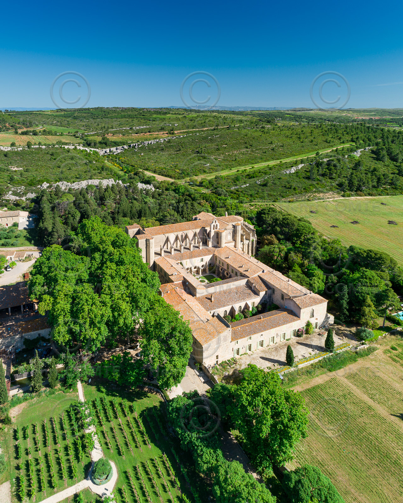 Abbaye de Valmagne
