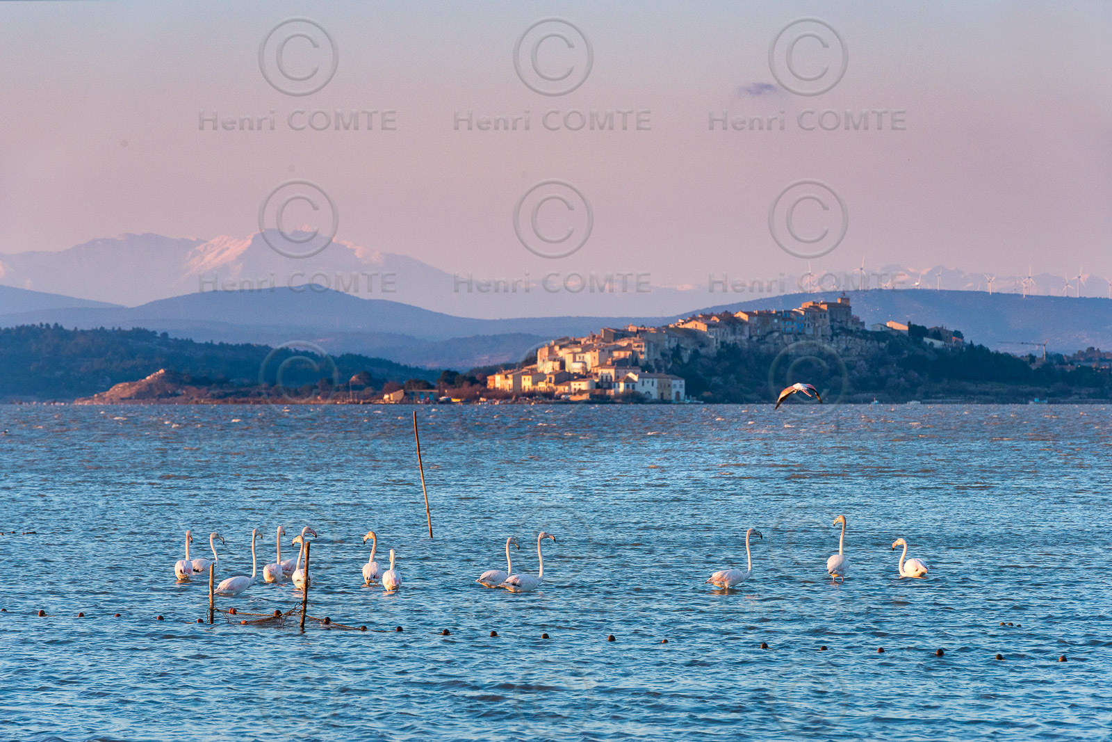 Etang de Bages