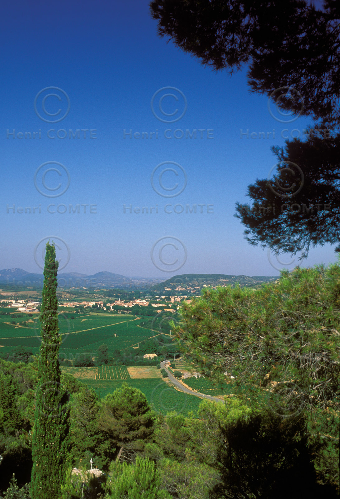 Vignoble Saint Chinian