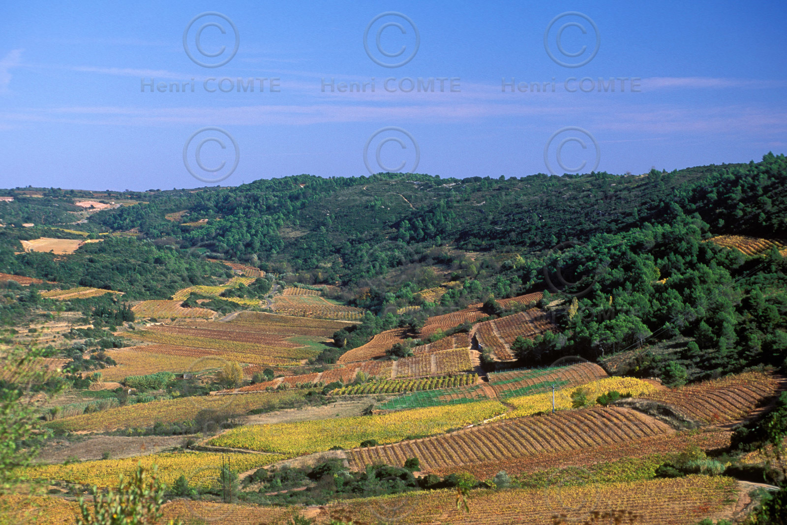Vignoble Saint Chinian