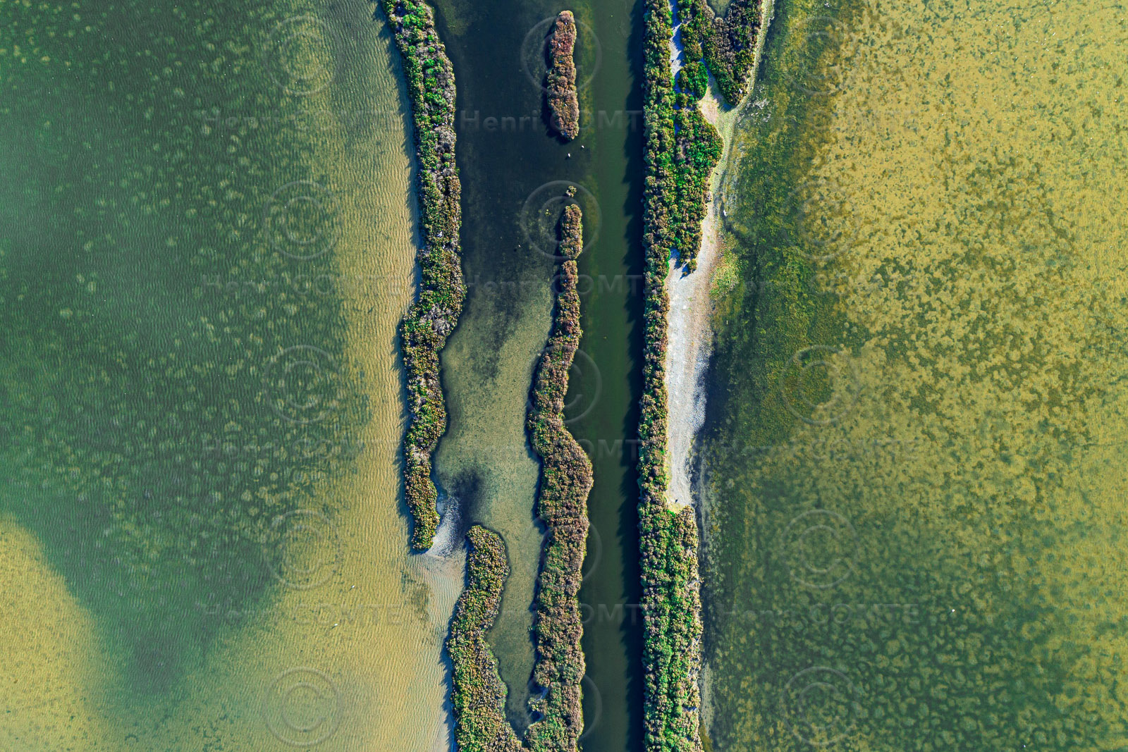 Canal et étangs