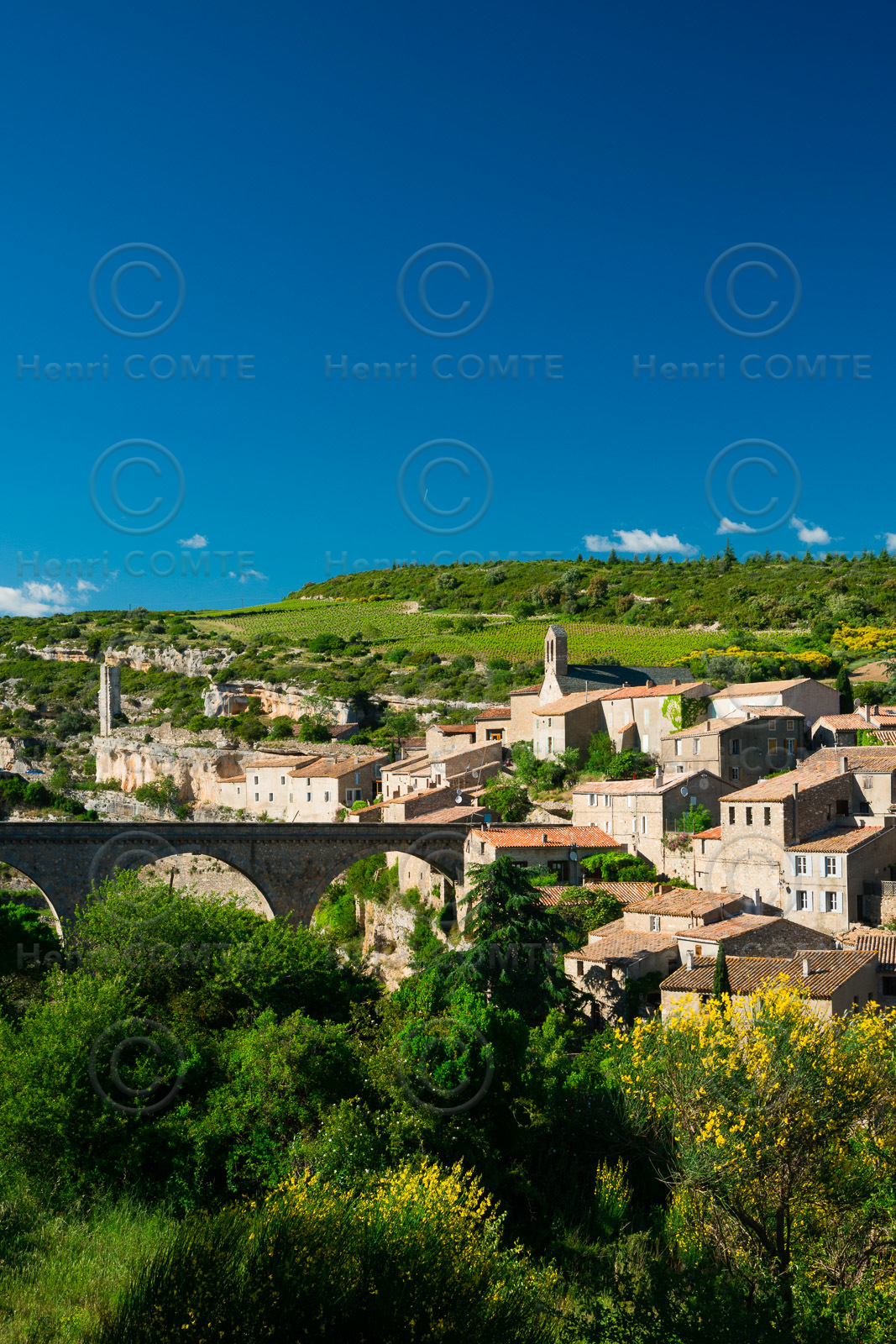 Minerve