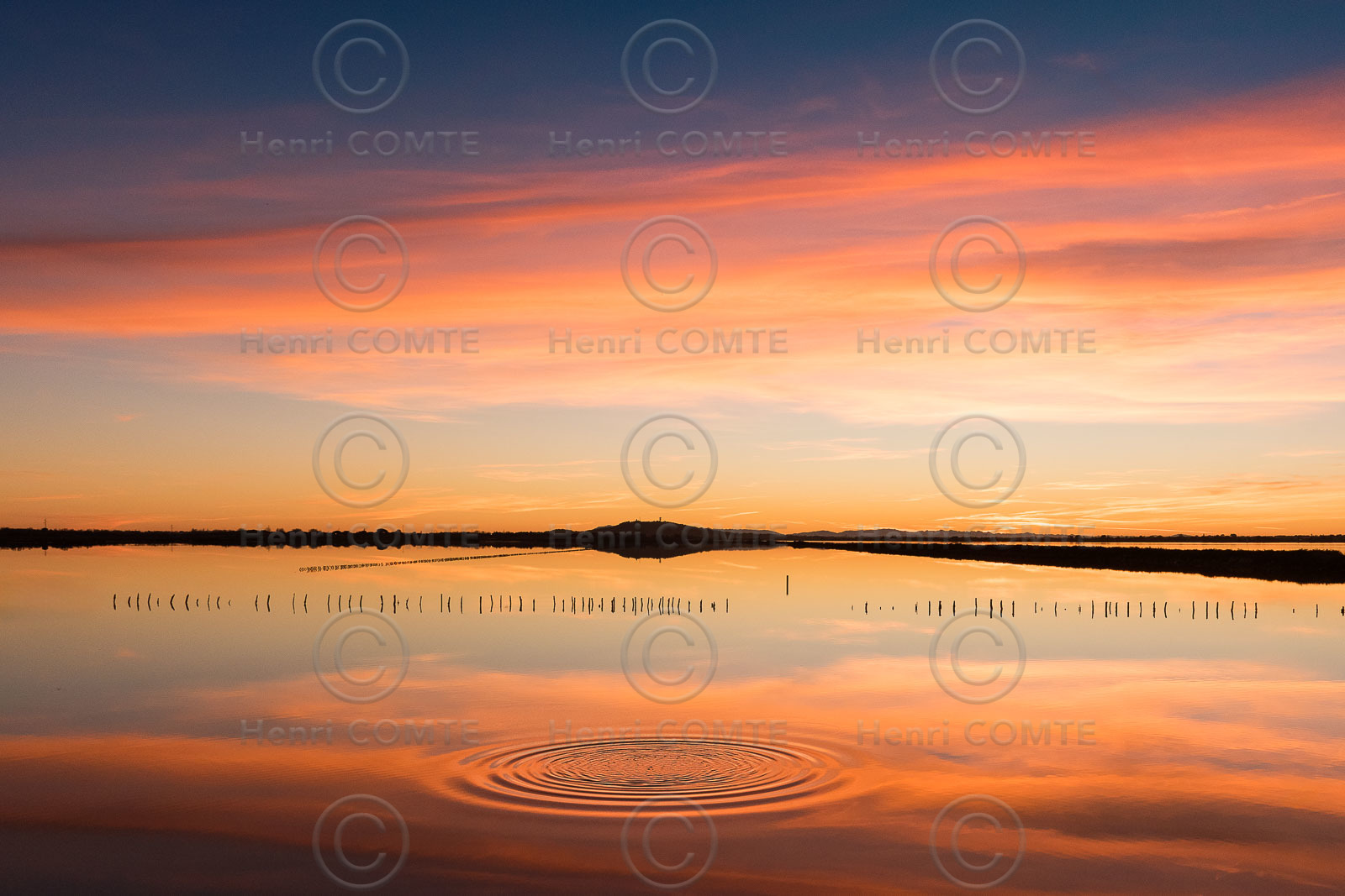 Etang de Thau