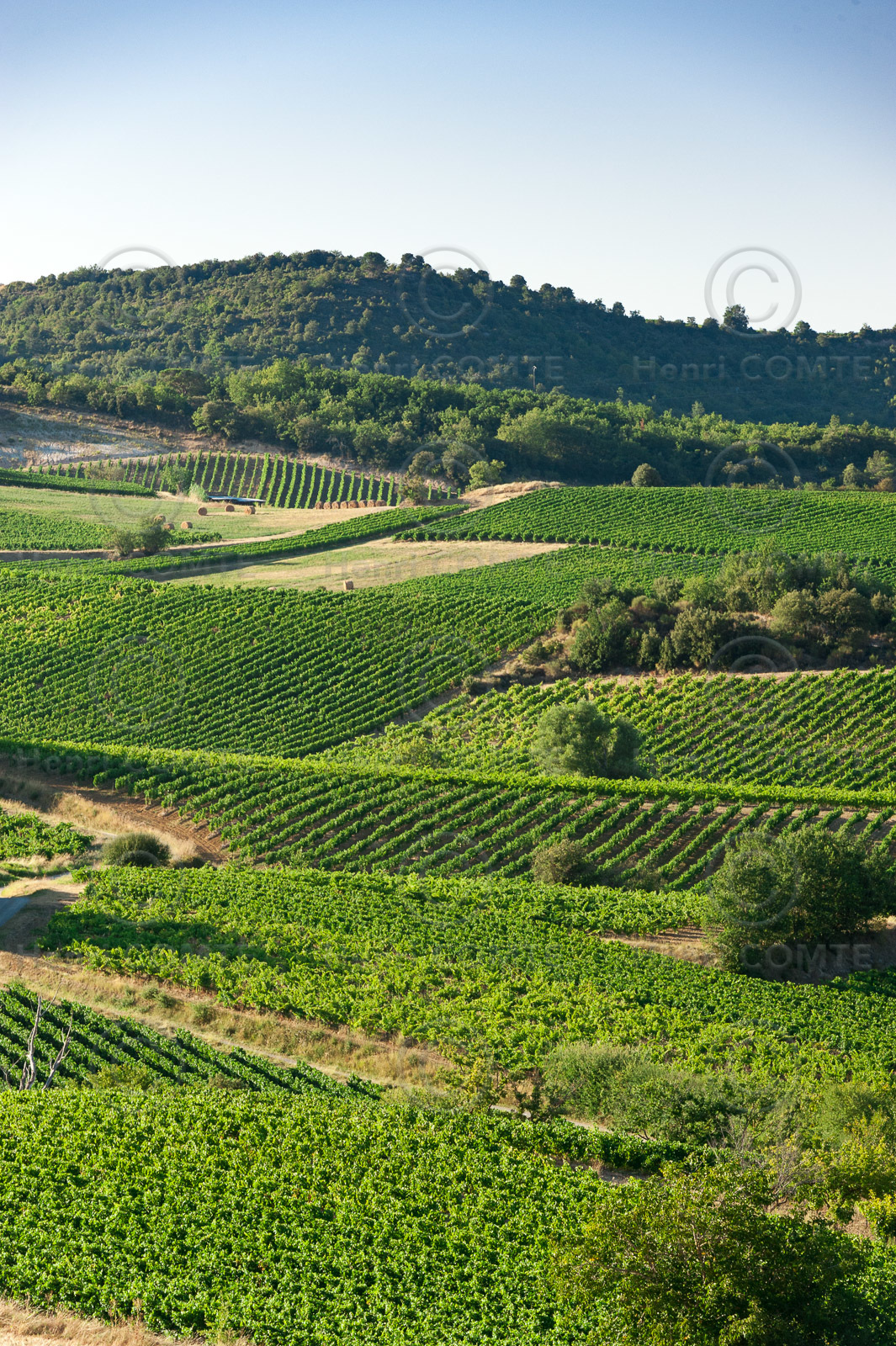 Vignoble de Limoux