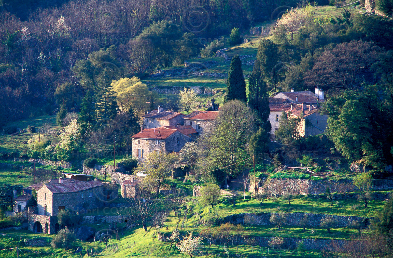 Cévennes