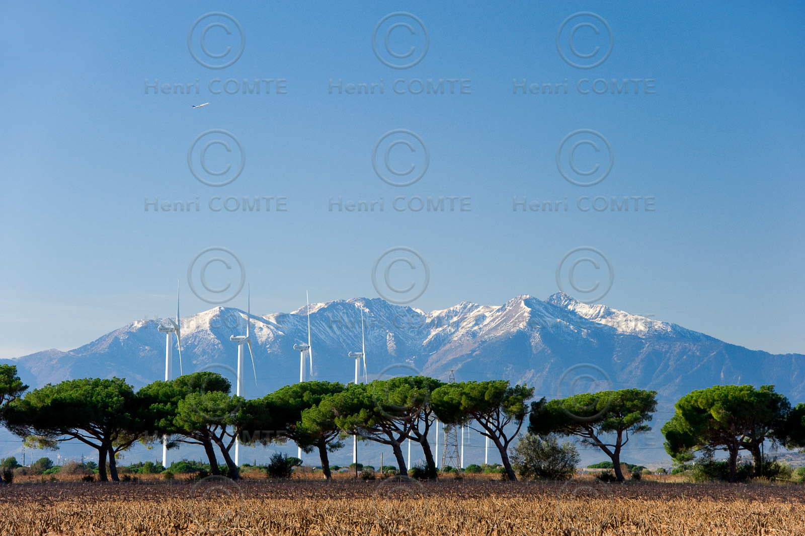 Eoliennes