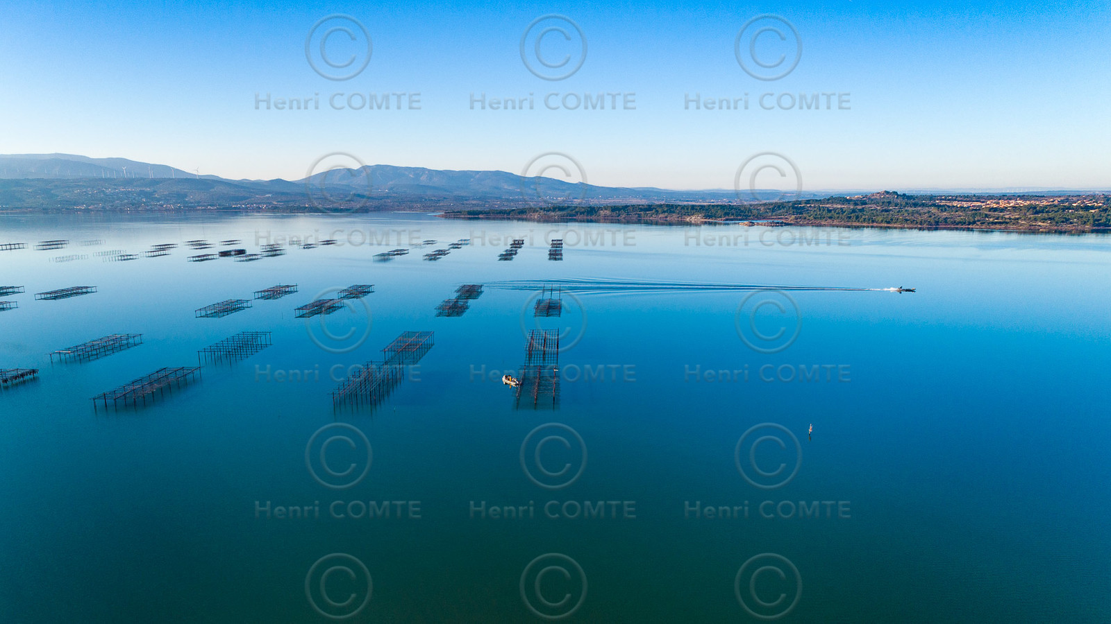 Etang de Leucate