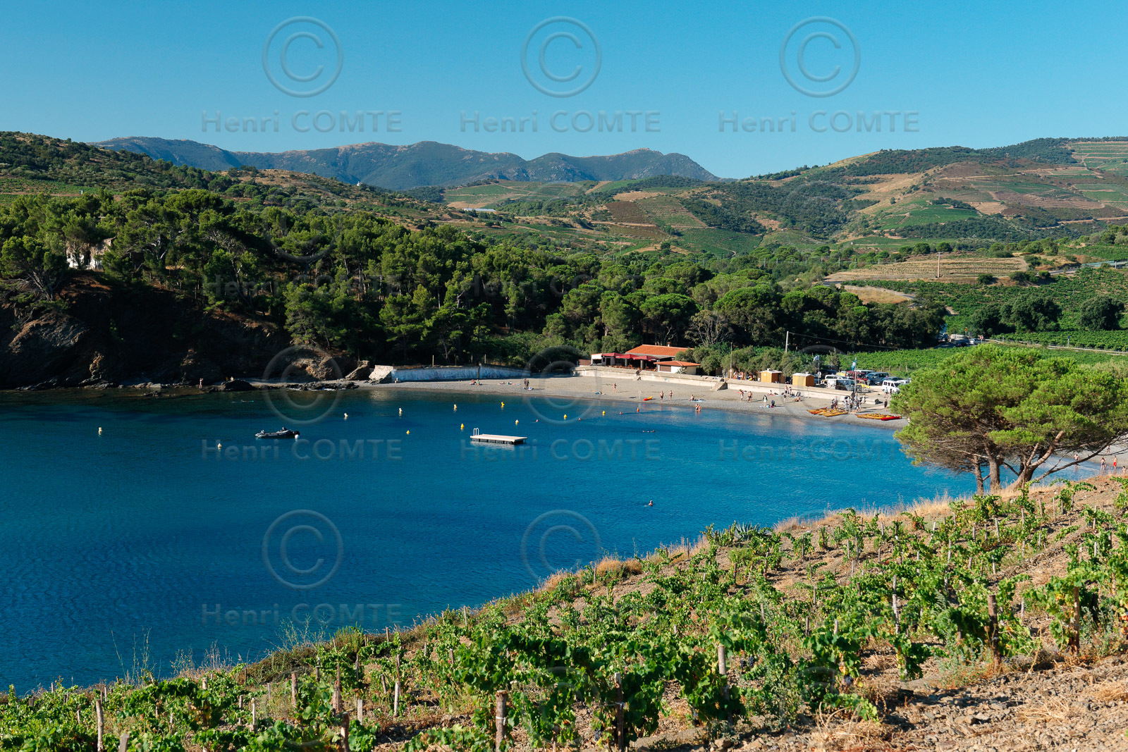 Vignoble du Roussillon