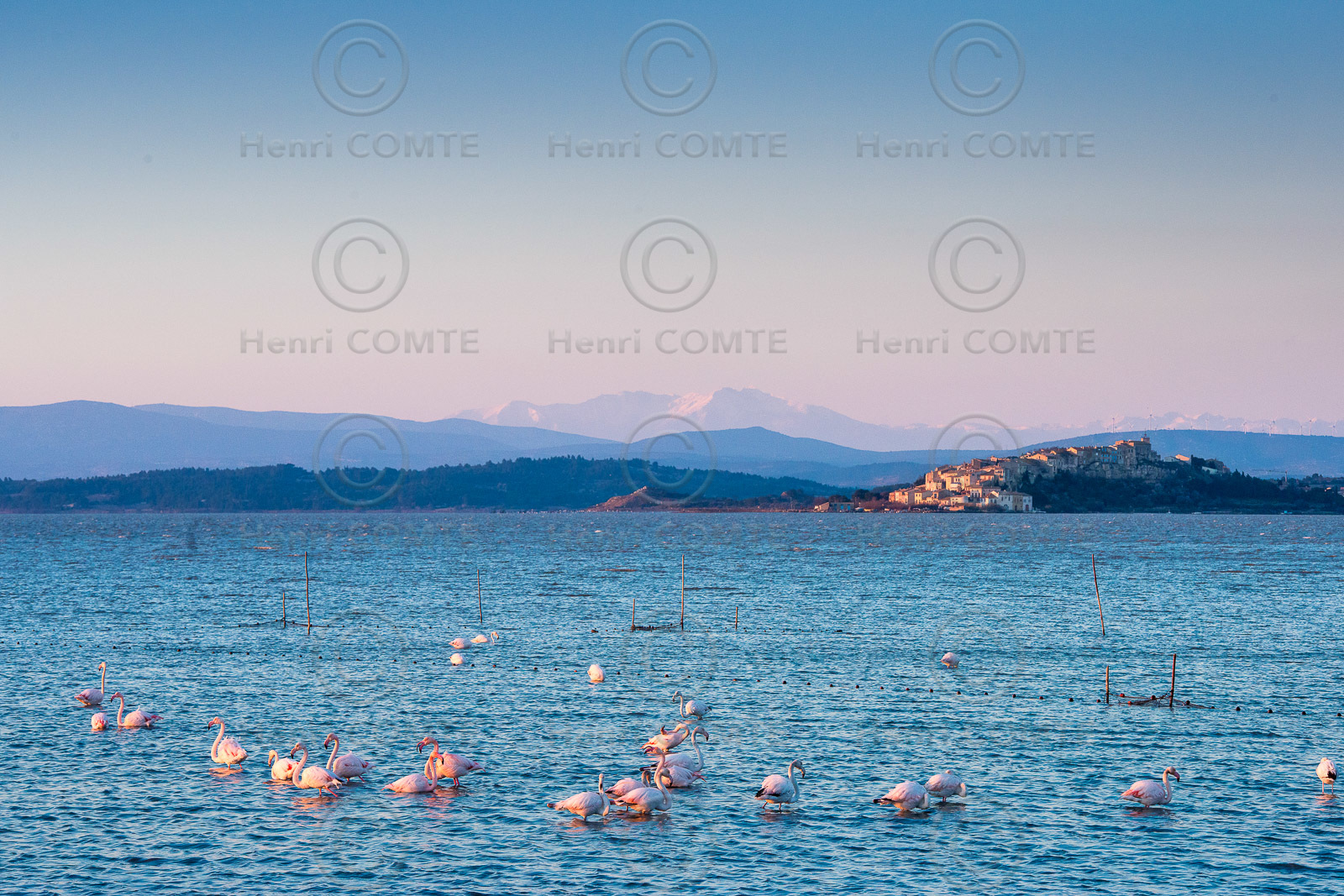 Etang de Bages