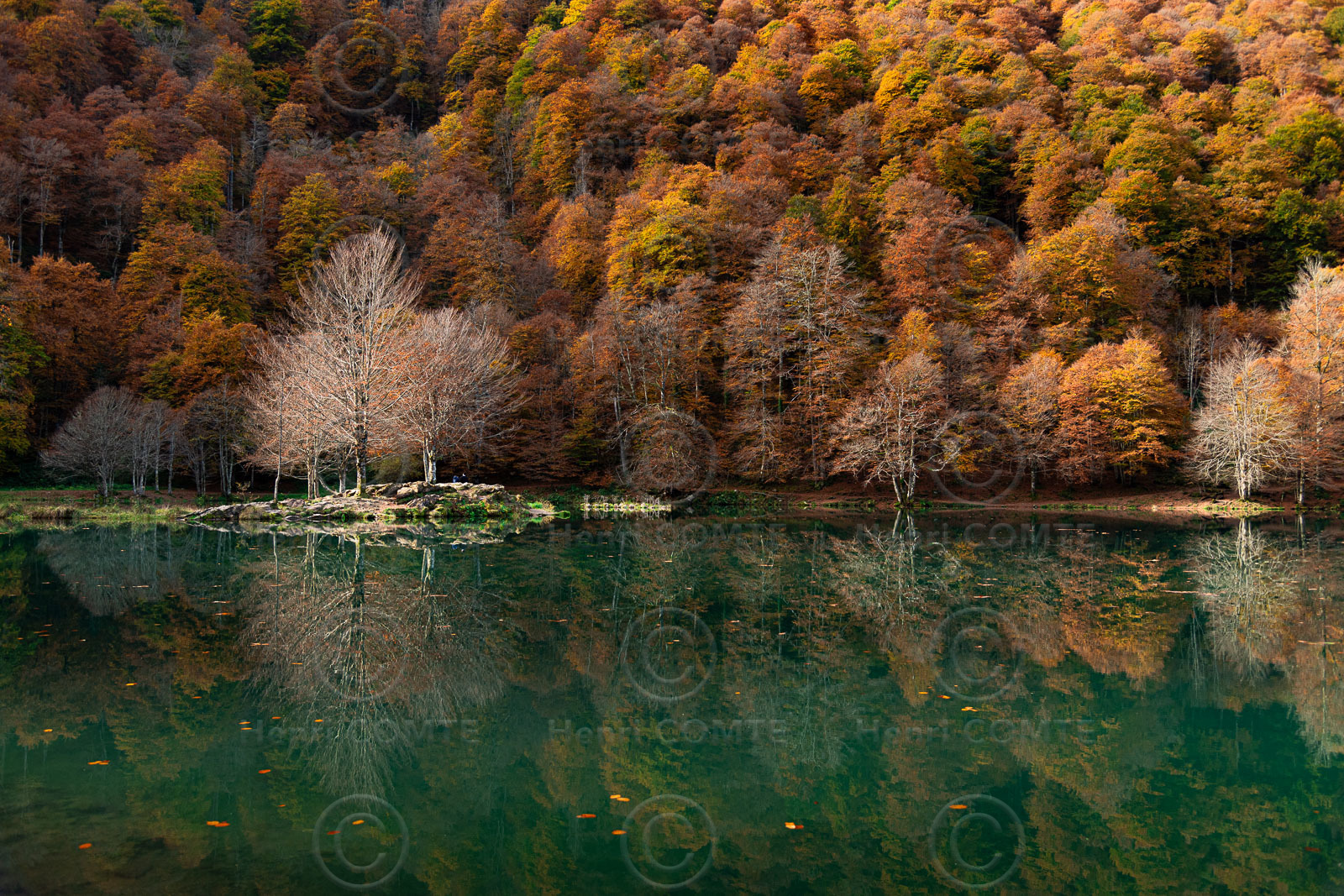 Lac de Betmale