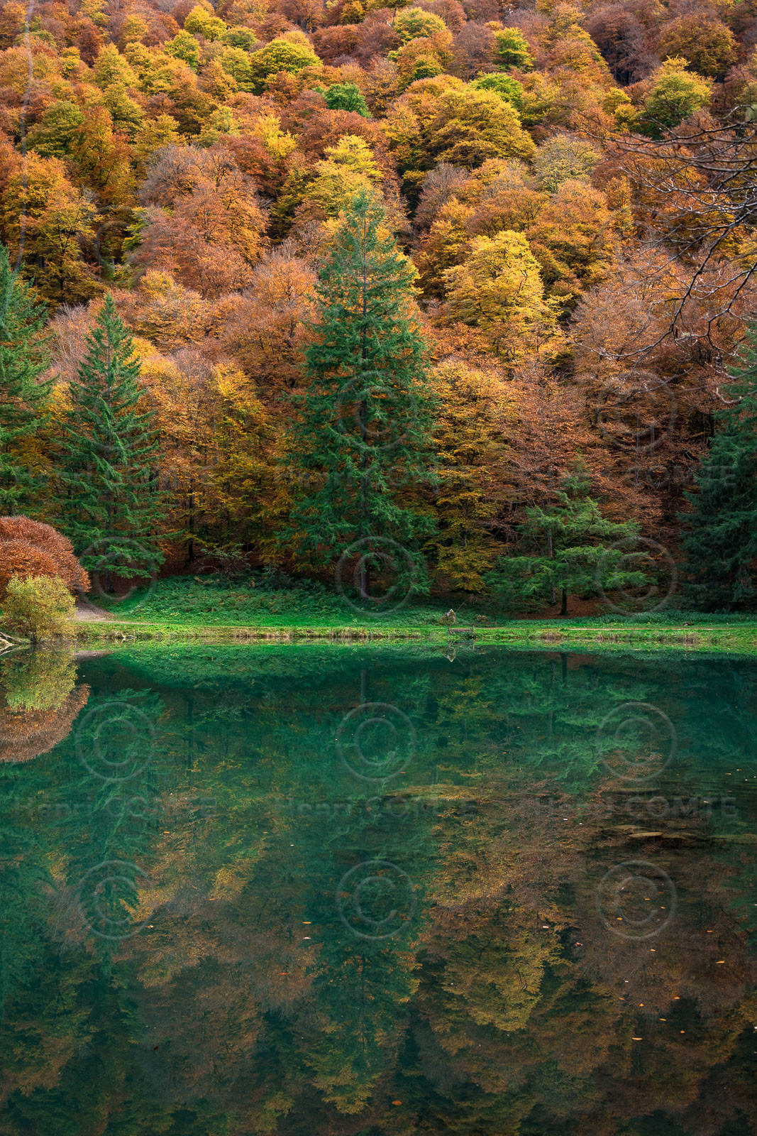 Lac de Betmale