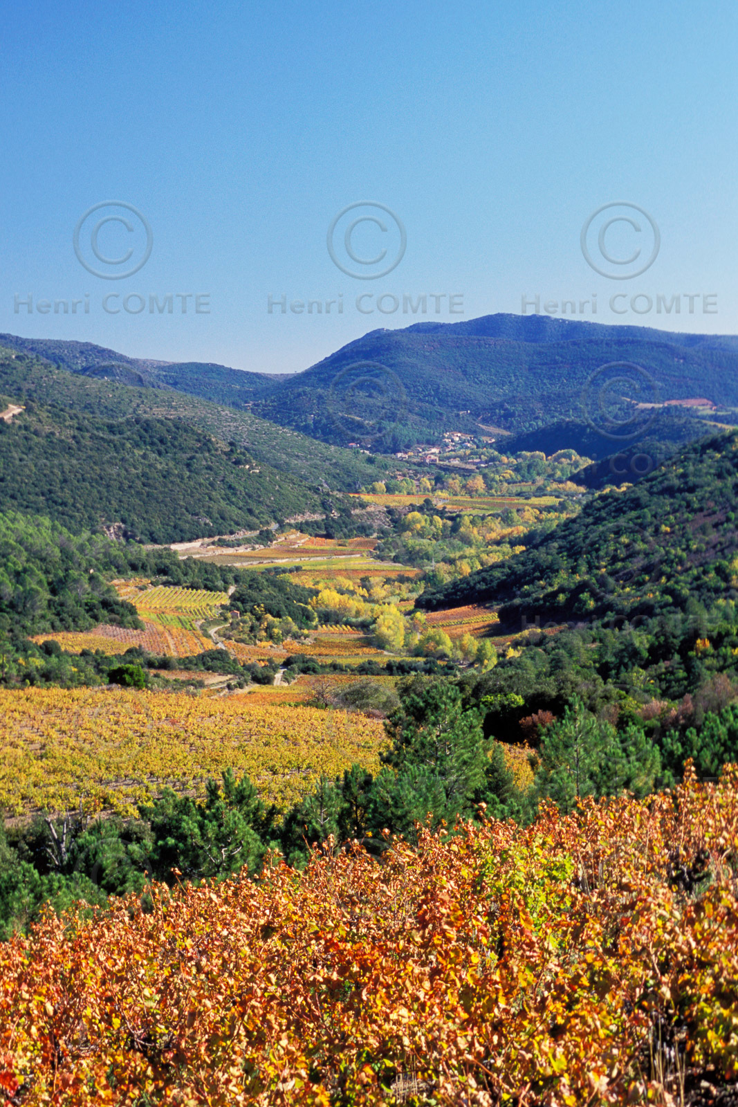 Vignoble Saint Chinian