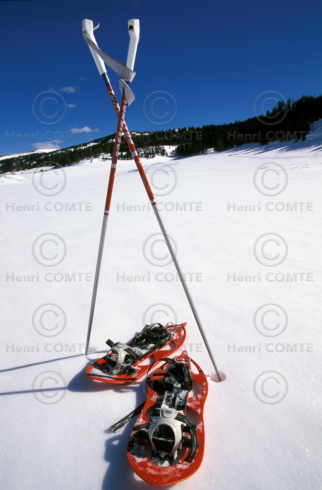 Sport d'hiver