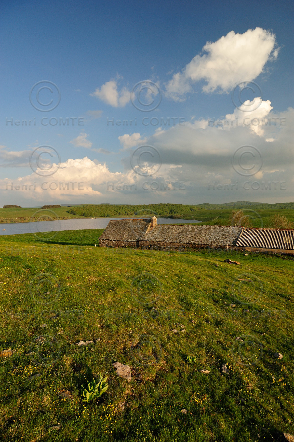 L'Aubrac
