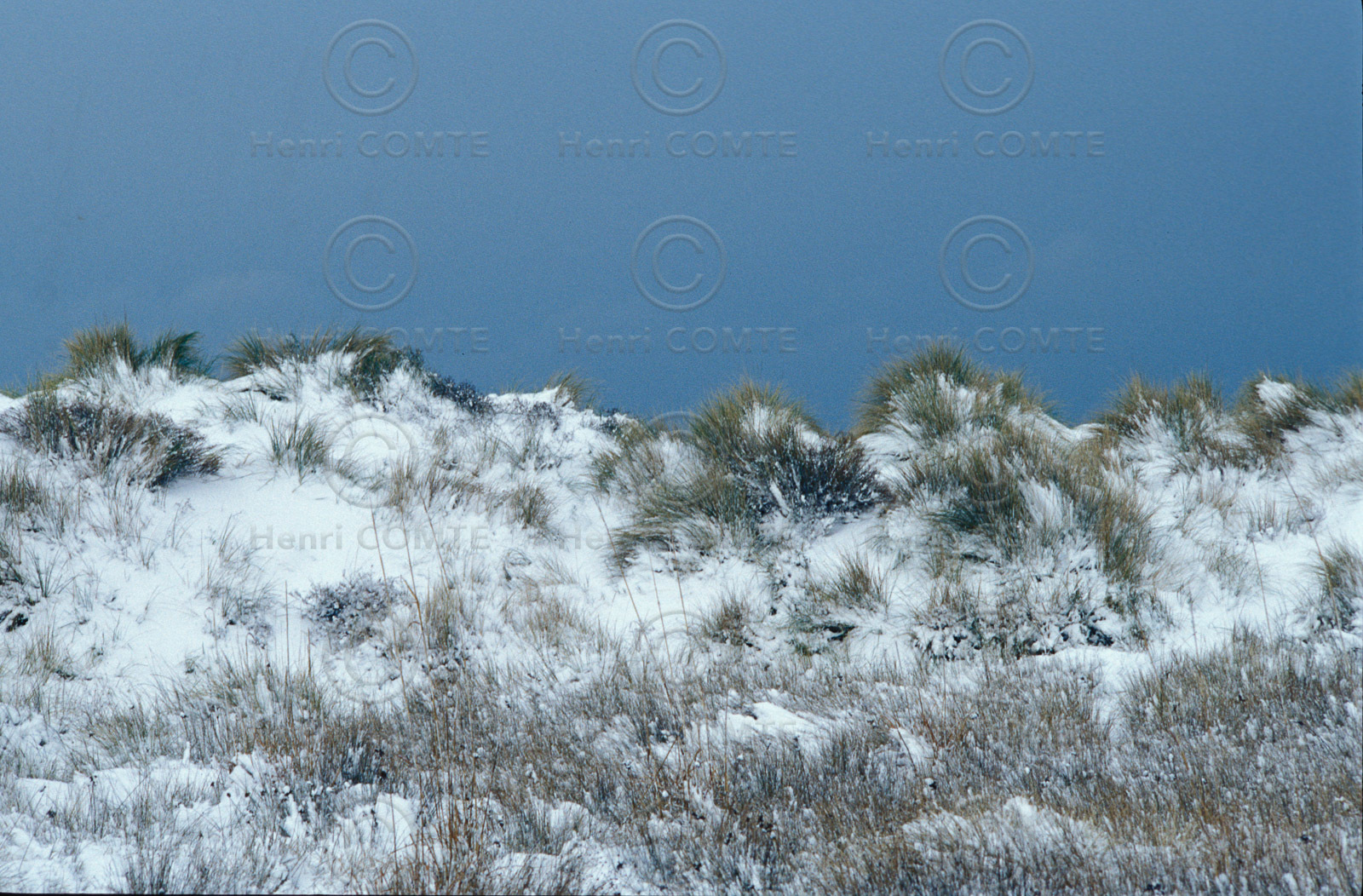 Dunes et neige