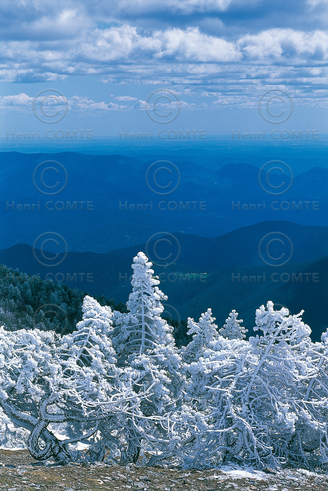 Mont Aigoual