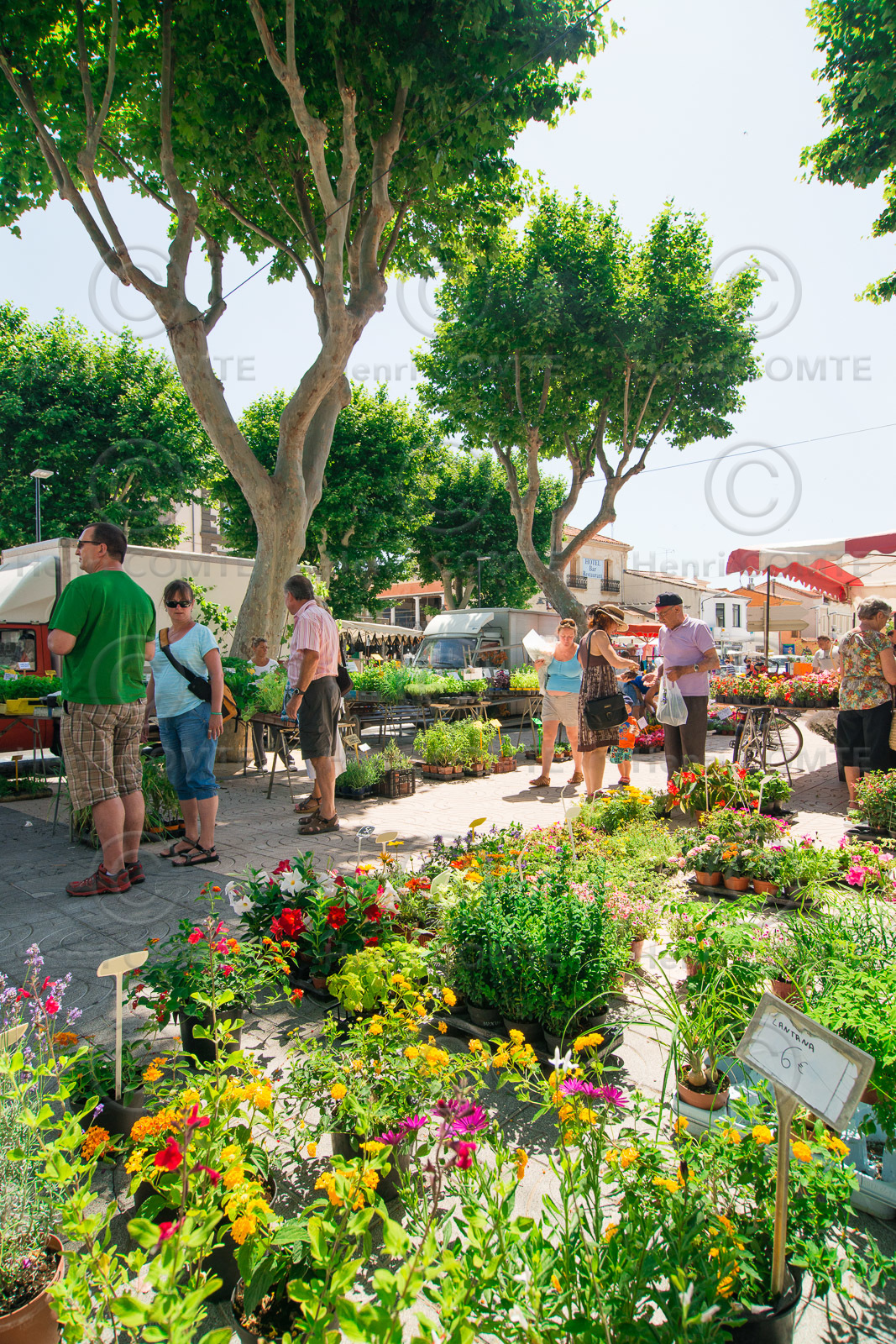 Marseillan