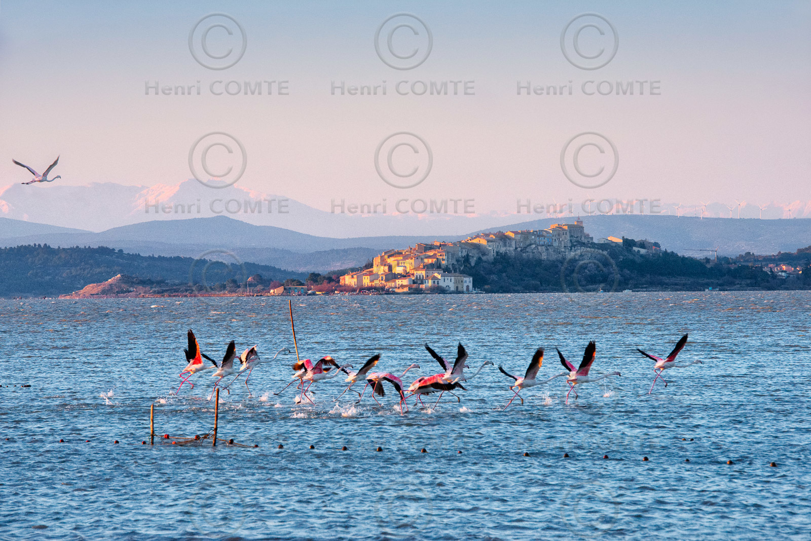 Etang de Bages