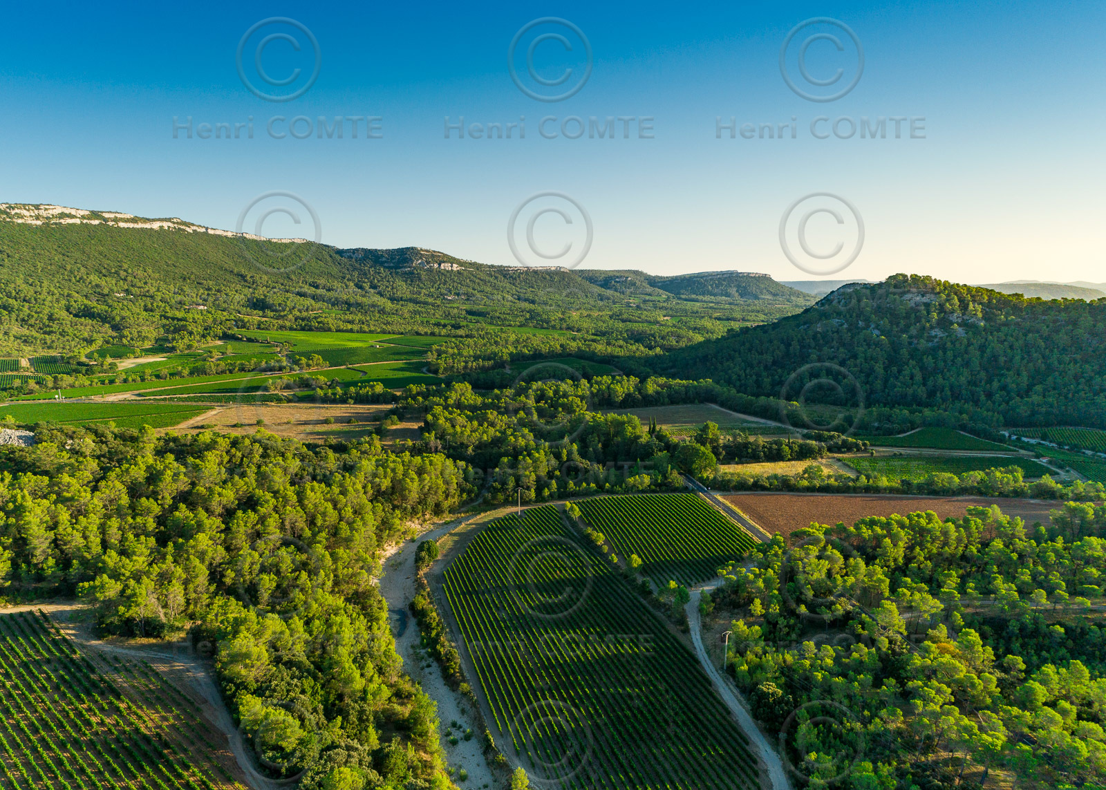 Vignoble Pic Saint Loup