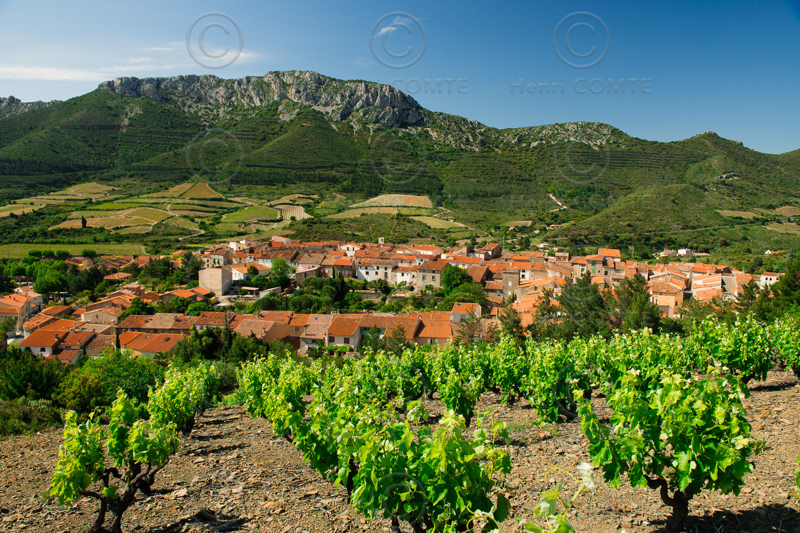 Village de Maury