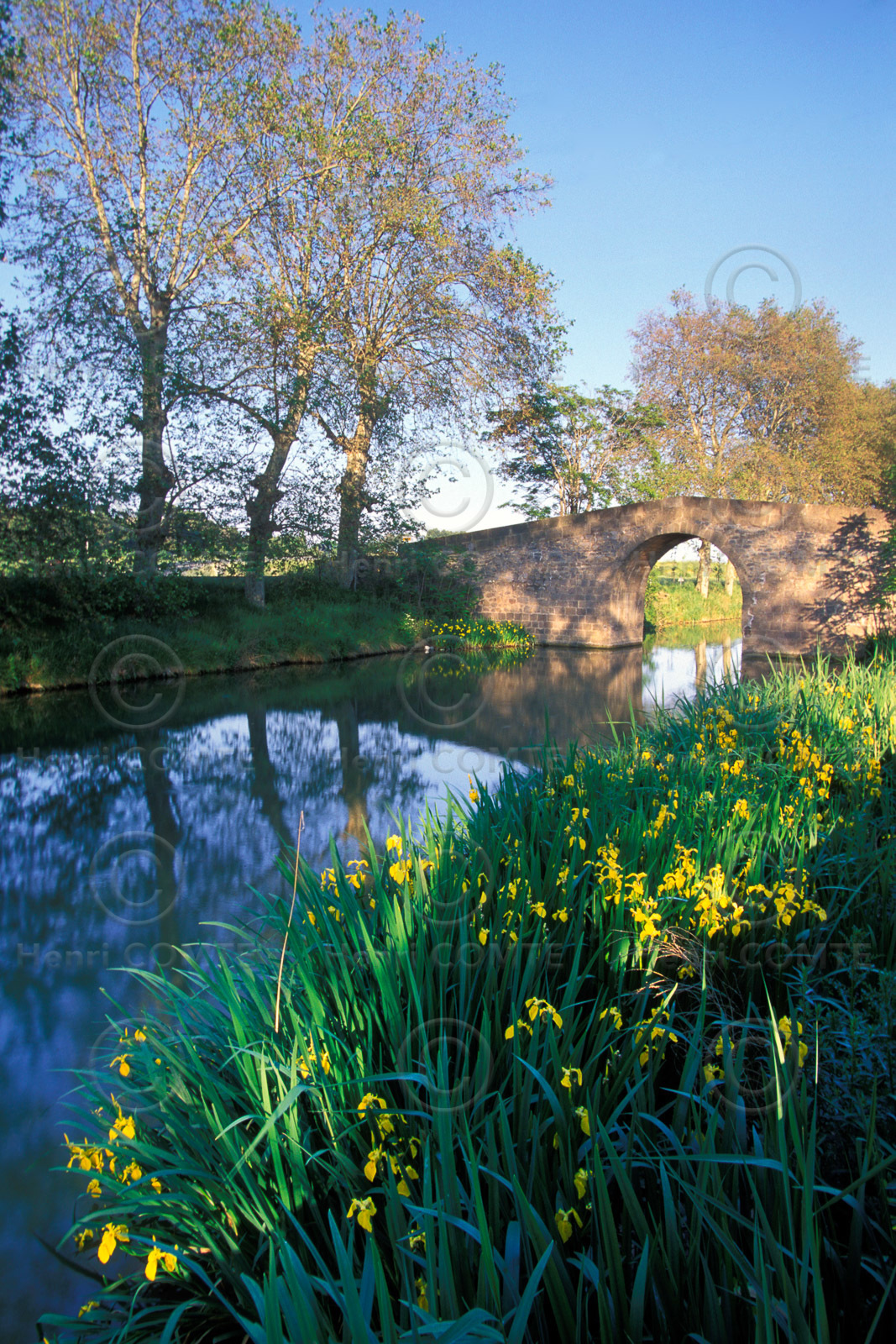 Canal du midi