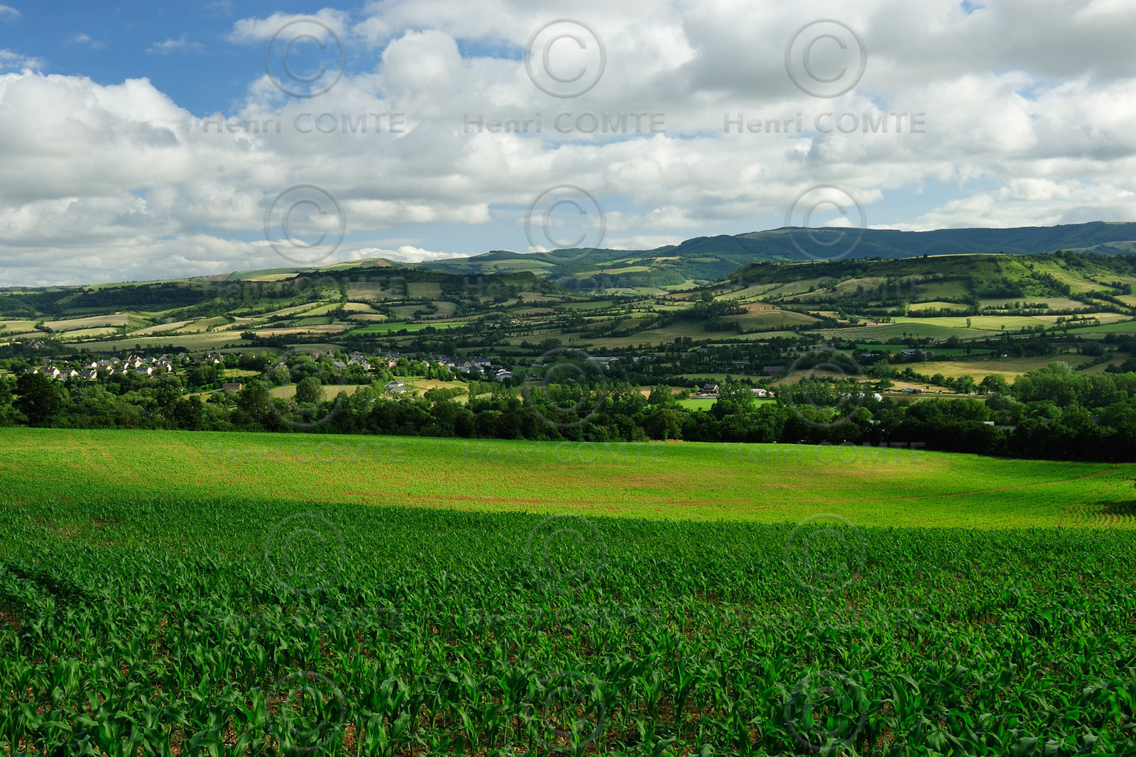 Causse de Séverac