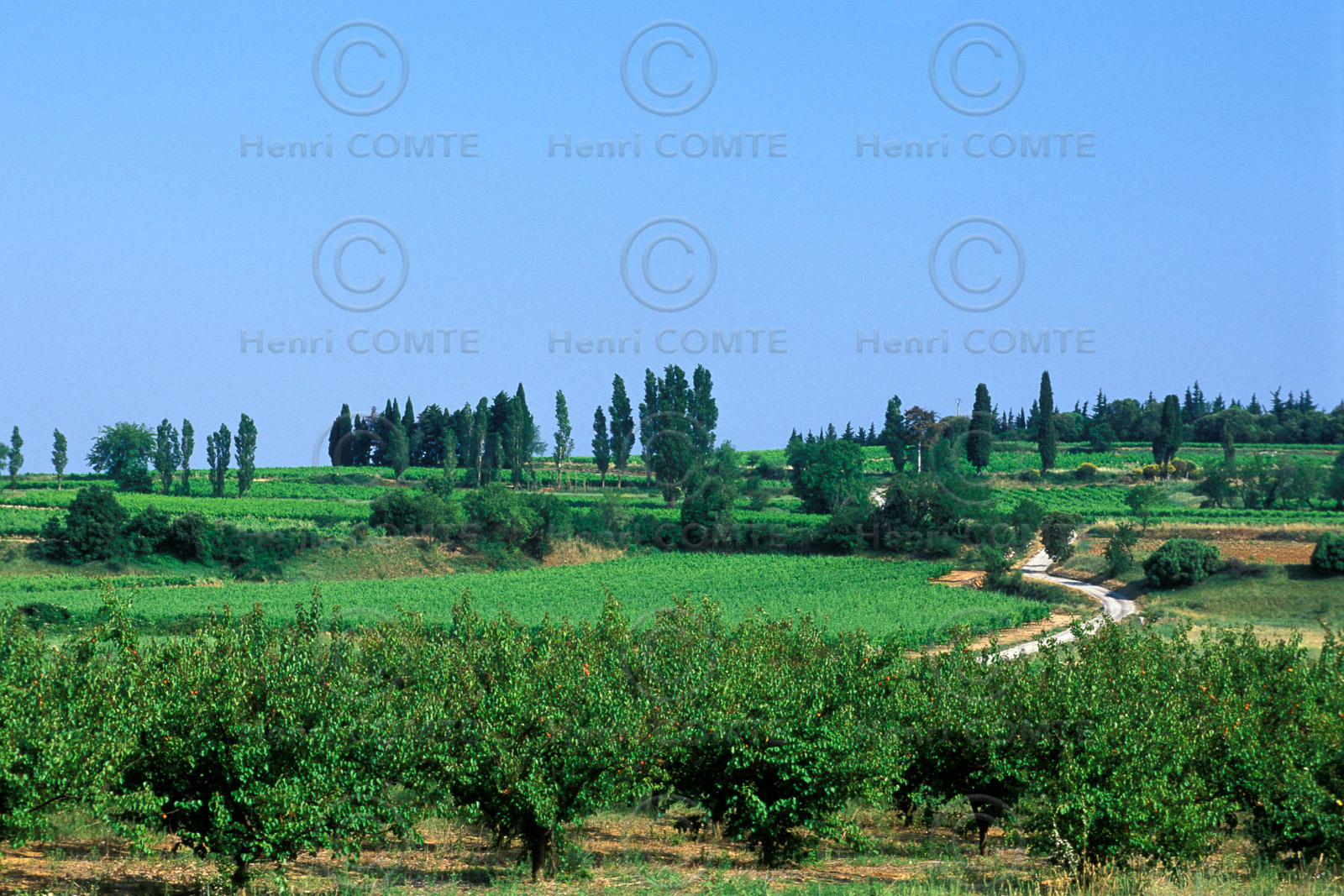 Côtes du Rhone