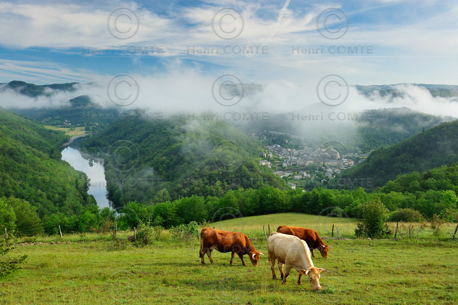 Vallée du Lot