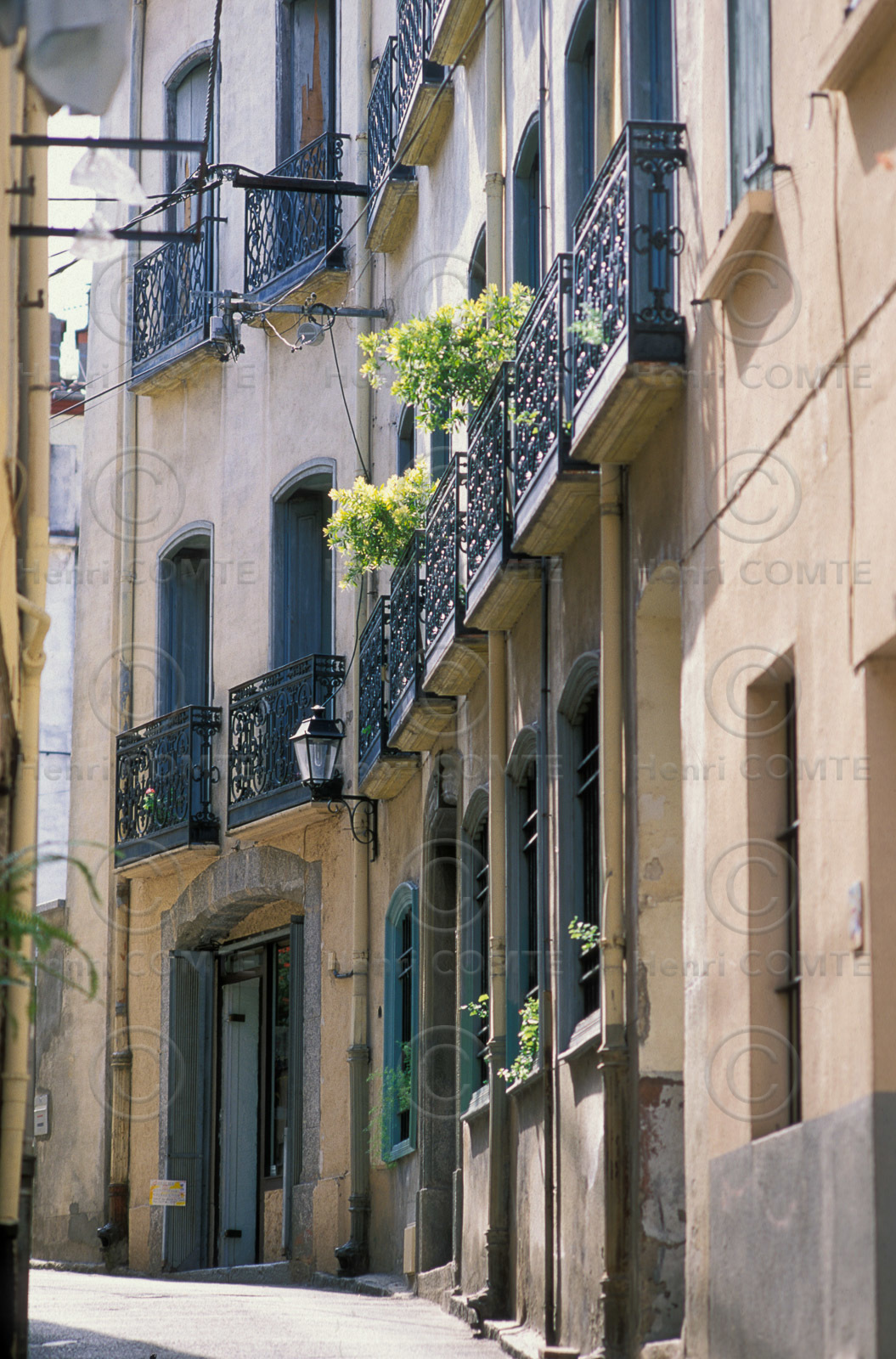 Arles sur Tech