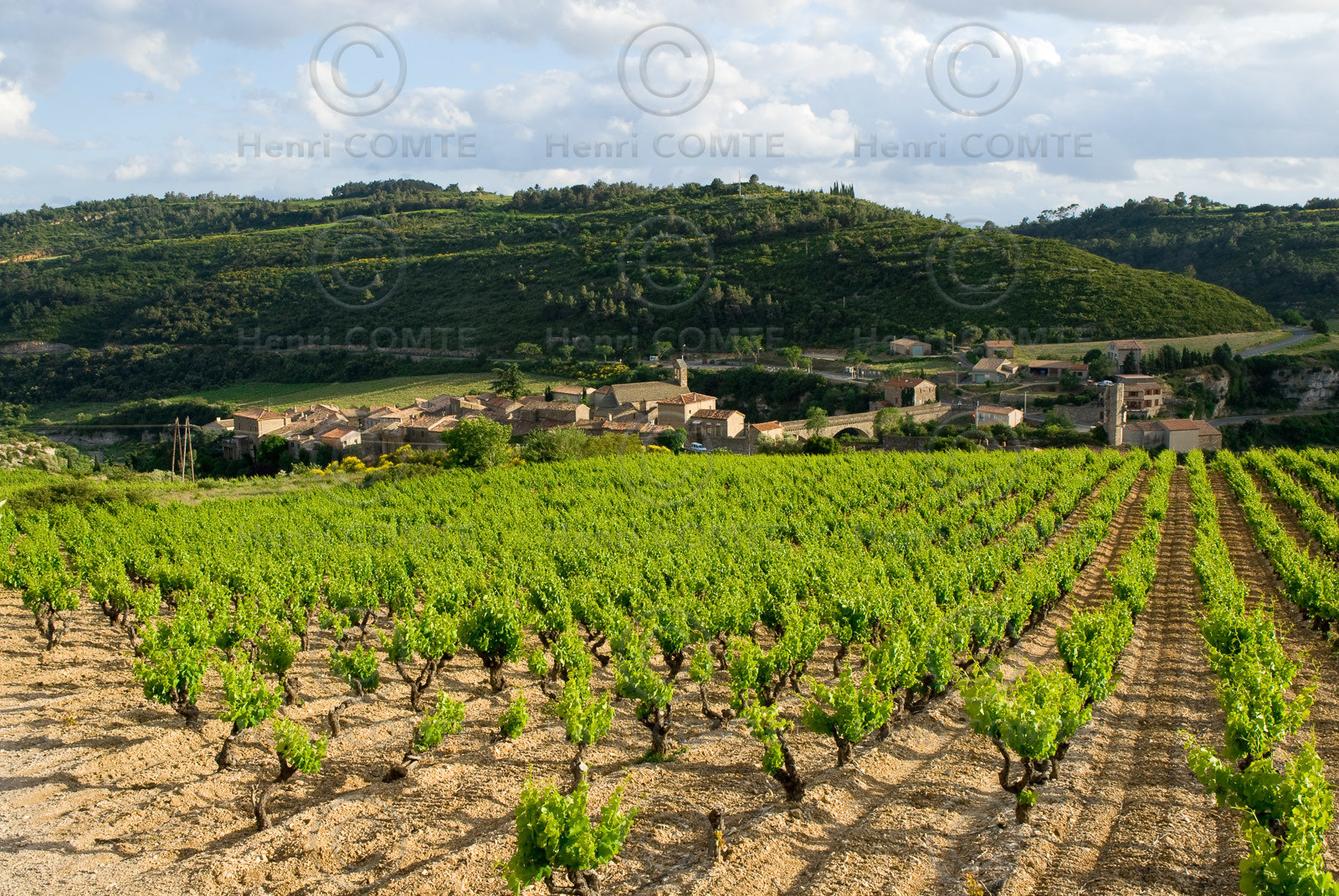 Minerve