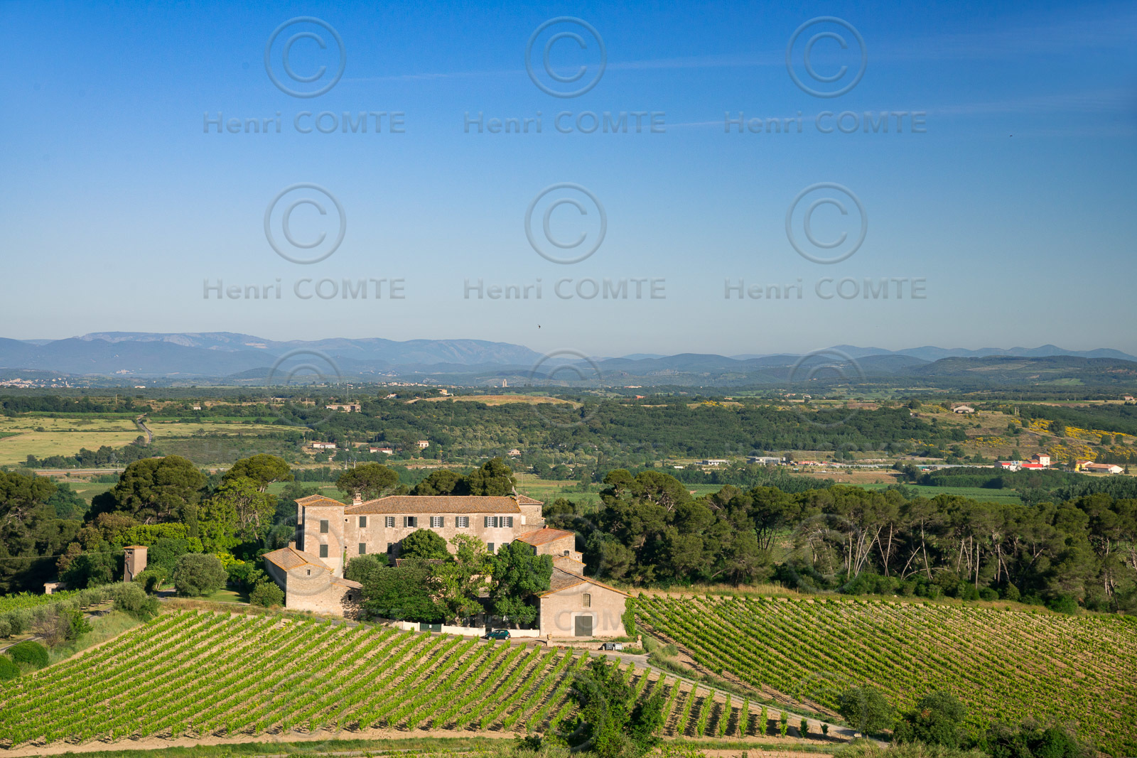 Domaine viticole