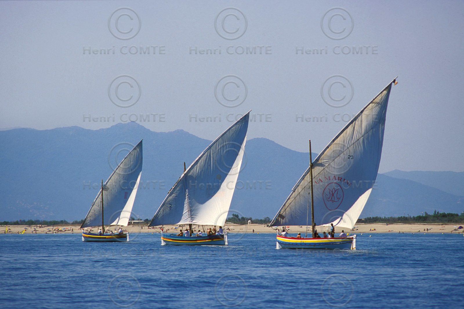 Voiles latines