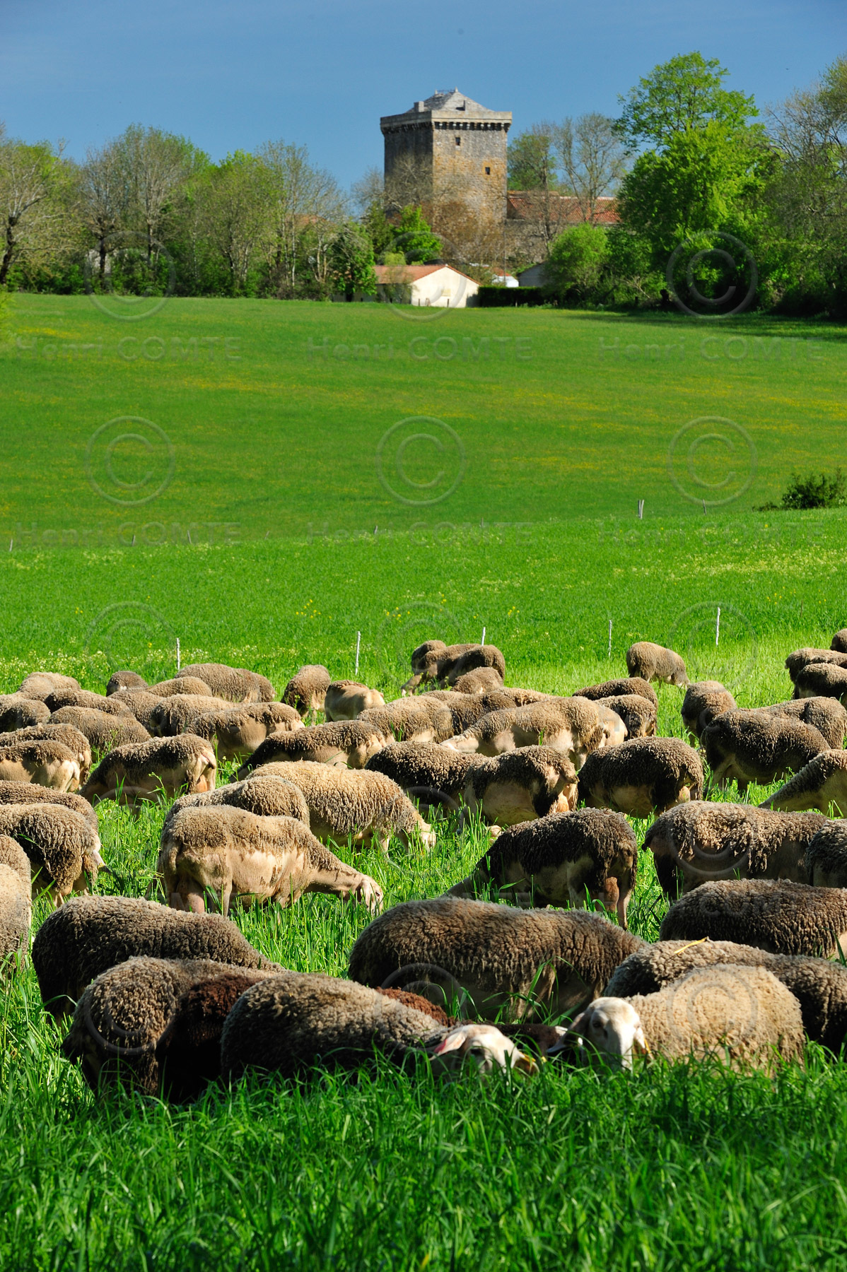 Larzac