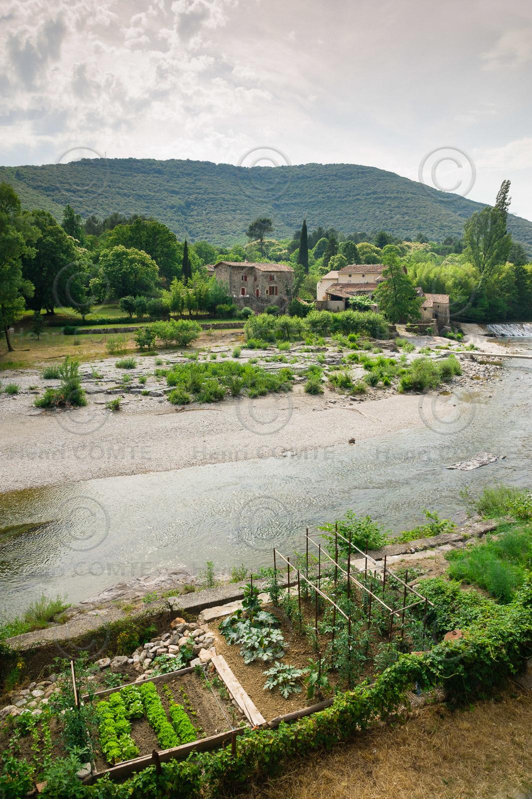 Cevennes