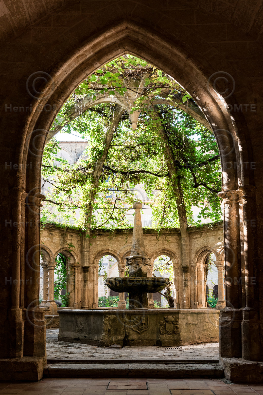Abbaye de Valmagne