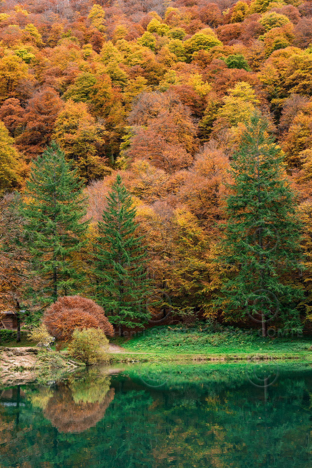Lac de Betmale
