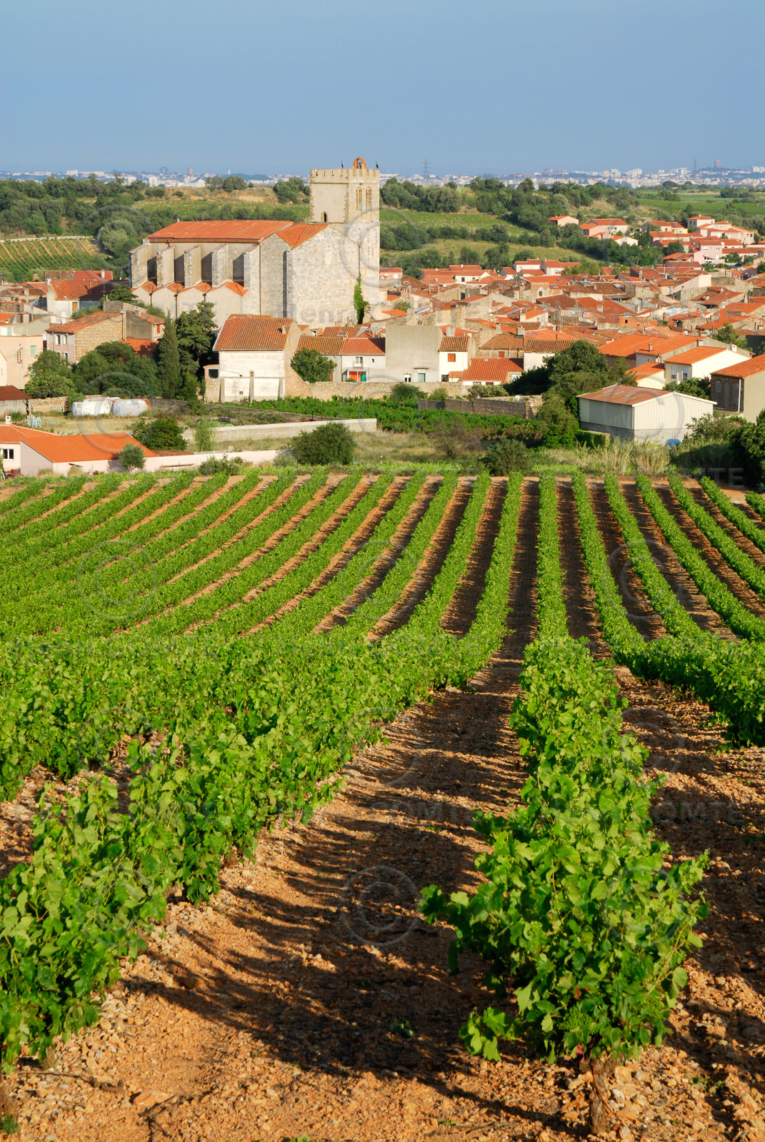 Baixas