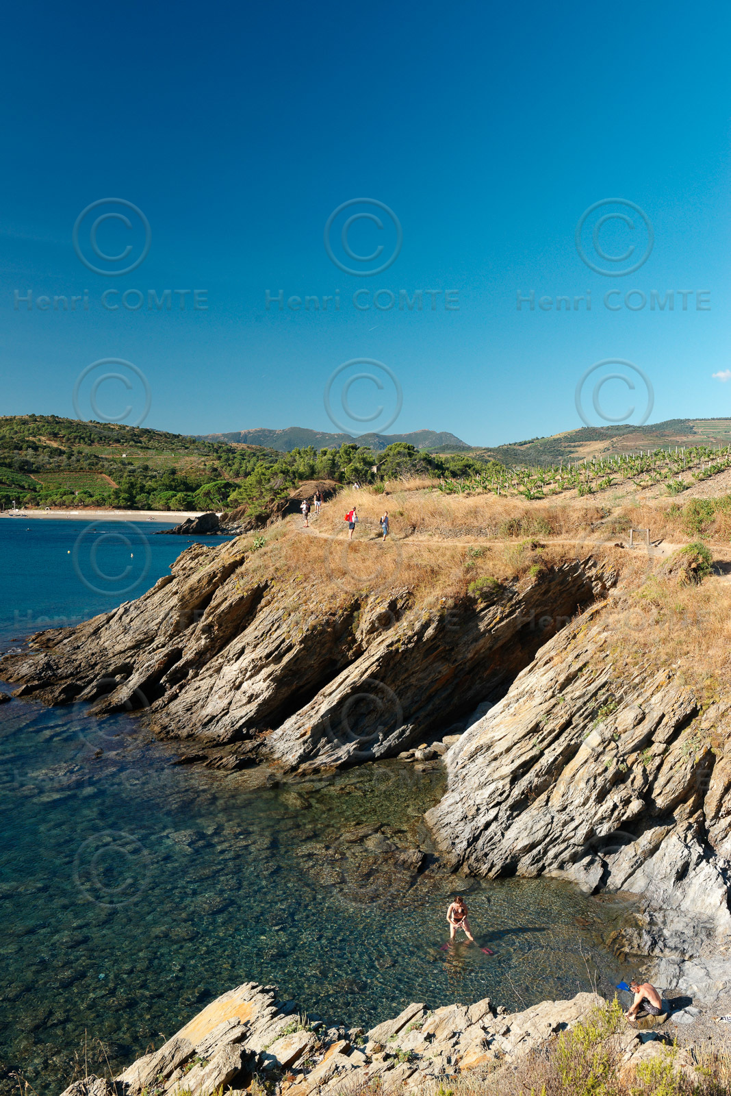 Anse de Paulilles