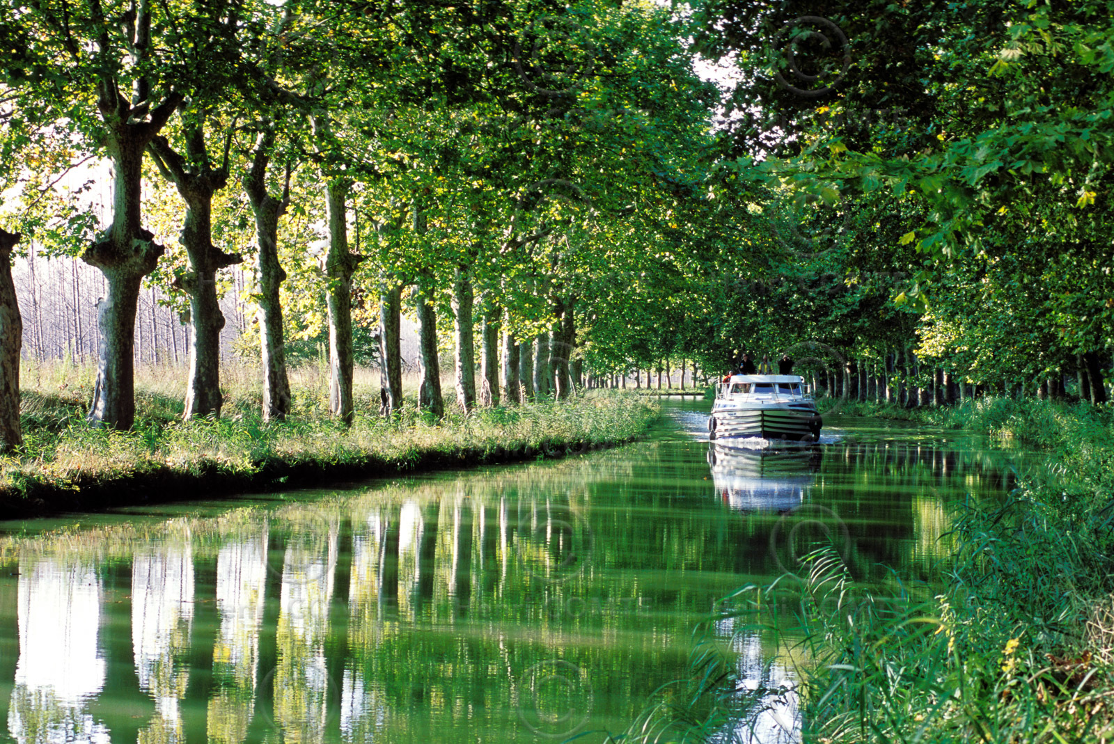 Le canal du Midi