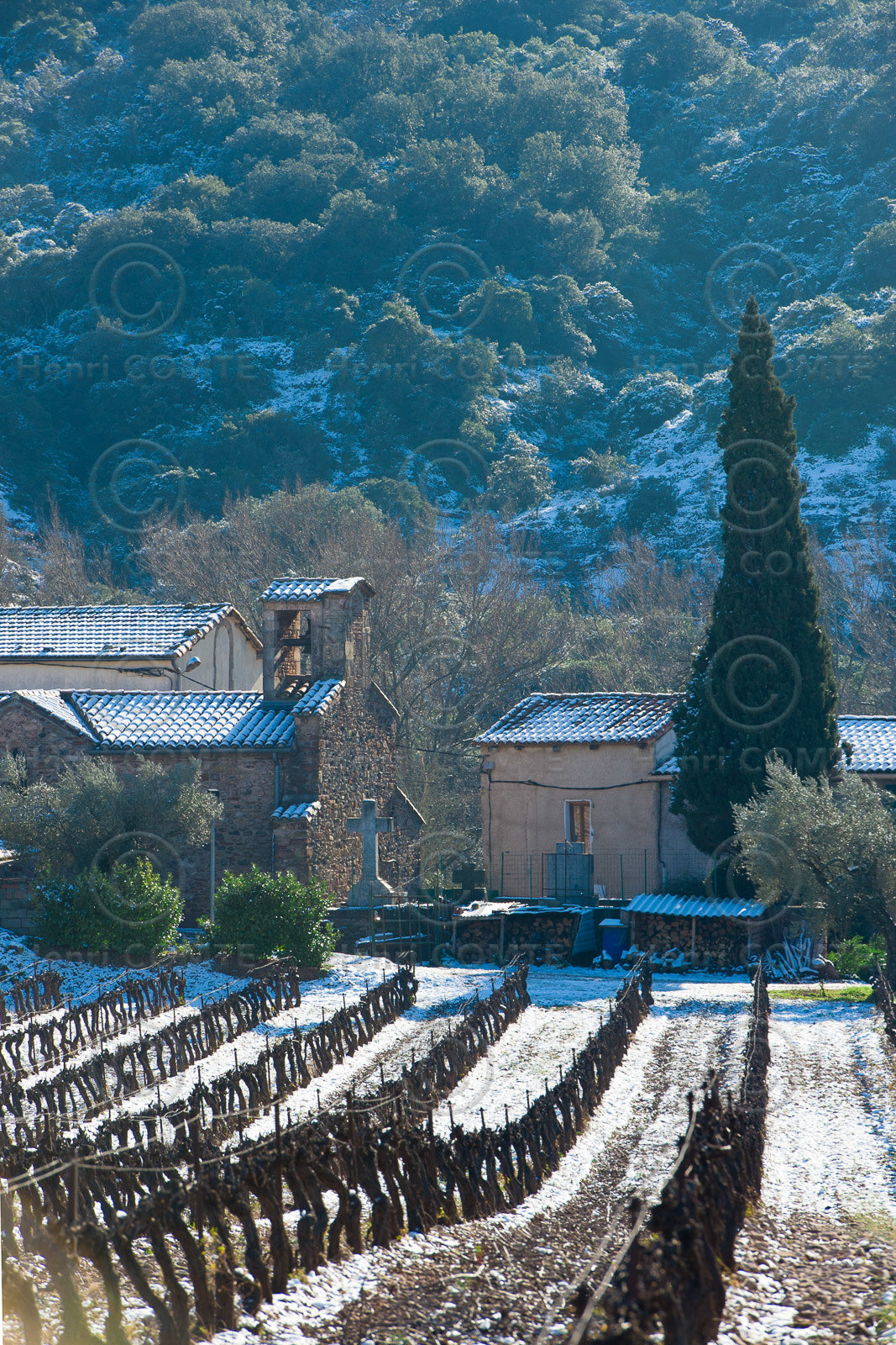 Vignoble du Salagou
