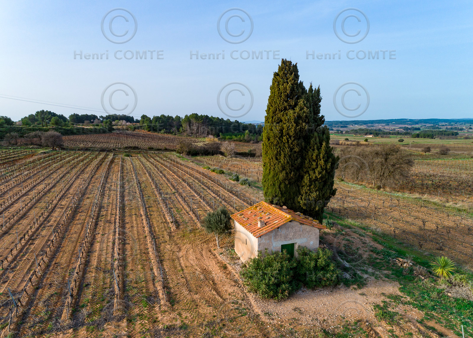 Vignoble Pinet