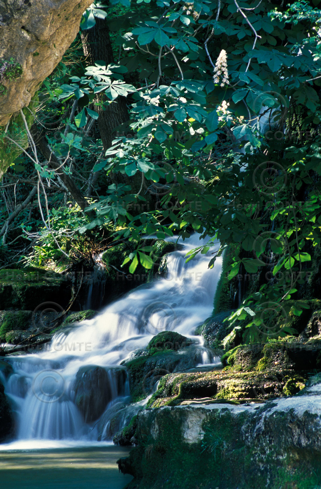 Cascade