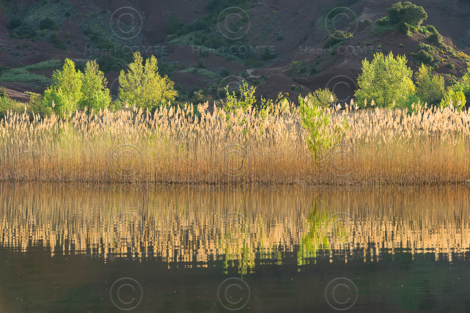 Lac du Salagou