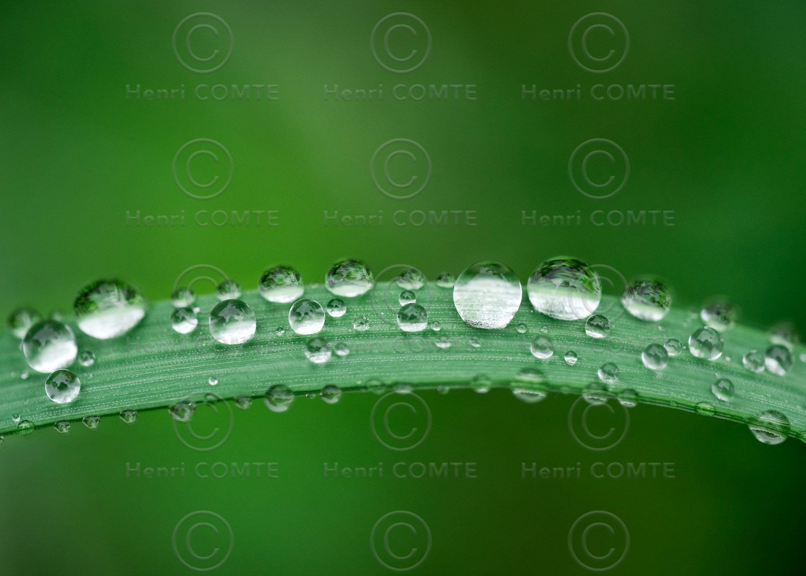 Gouttes d'eau