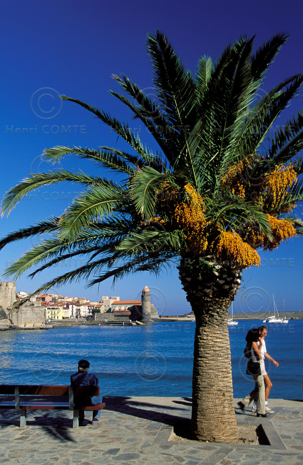 Collioure