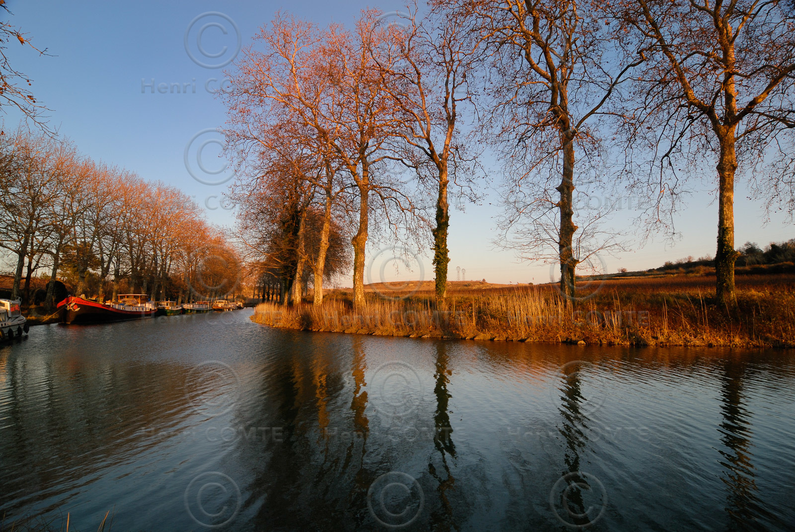 Le canal du Midi